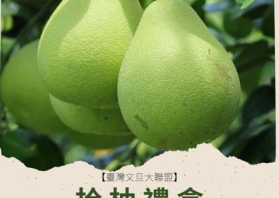 社群廣告｜農產品文旦